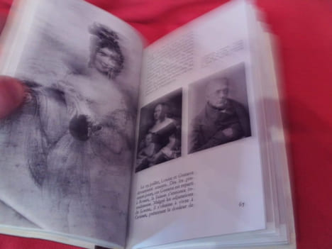 Album Flaubert. . [LITTERATURE] - BRUNEAU (Jean), DUCOUNEAU (Jean A.)