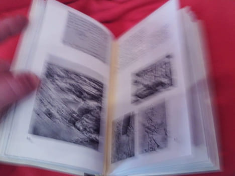 Album Flaubert. . [LITTERATURE] - BRUNEAU (Jean), DUCOUNEAU (Jean A.)
