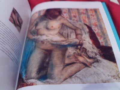 Les 100 tableaux qui racontent Degas. 