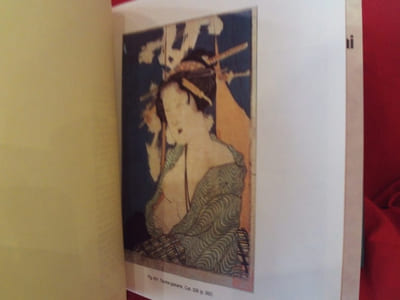 Le fou de peinture Hokusai et son temps. 