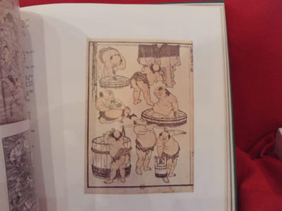 Le fou de peinture Hokusai et son temps. 