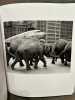 Andr&eacute; Kert&eacute;sz. . [PHOTOGRAPHIE] - BOURCIER (No&euml;l)