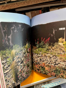 303 Arts Recherches Créations. Estuaire, l'art et le fleuve. 