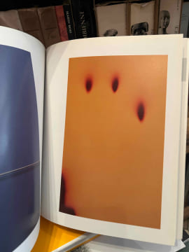 Pascal Pinaud transpainting. . [ART] - CHASSEY (Éric de)
