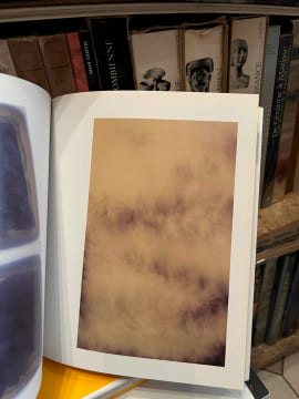 Pascal Pinaud transpainting. . [ART] - CHASSEY (Éric de)