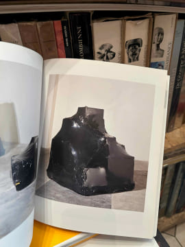 Pascal Pinaud transpainting. . [ART] - CHASSEY (Éric de)