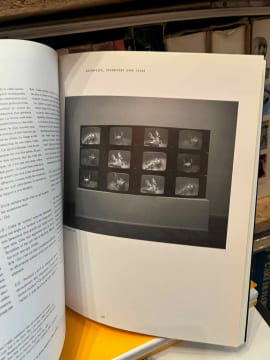 Bruce Nauman. . [ART] - CATALOGUE D'EXPOSITION
