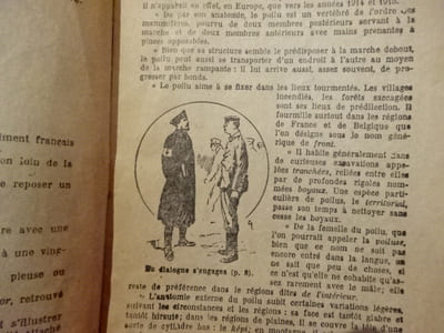 La passerelle de Jaulgonne.