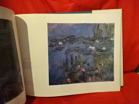 Nymphéas (Claude Monet). . [ART] - STUCKEY (Charles F.)