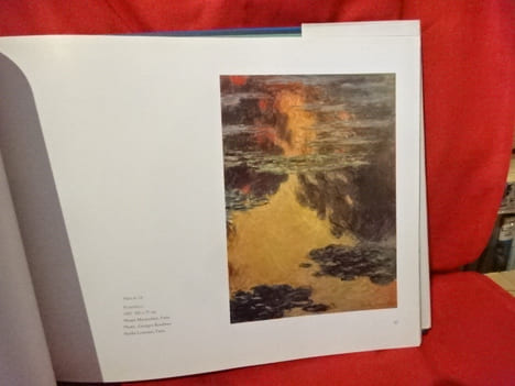 Nymphéas (Claude Monet). . [ART] - STUCKEY (Charles F.)