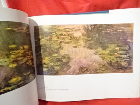 Nymphéas (Claude Monet). . [ART] - STUCKEY (Charles F.)