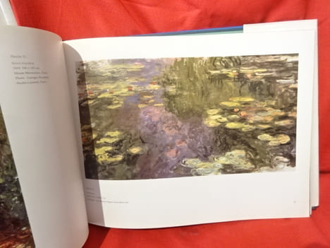 Nymphéas (Claude Monet). . [ART] - STUCKEY (Charles F.)