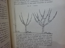 Traité pratique d'arboriculture fruitière, précédé de Notions de Botanique à l'usage des Instituteurs, des agriculteurs et des élèves des écoles ...