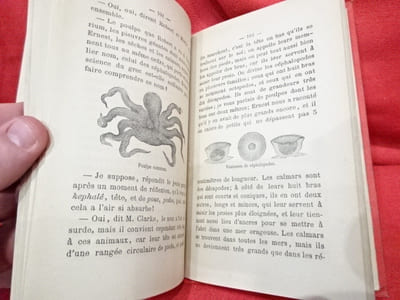 Quelques merveilles du monde des eaux.