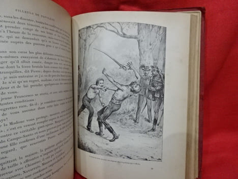 Filleuls de Napoléon, histoire d'une Famille de Soldats, 2ème période: 1830-1870. . [LITTERATURE] - DANRIT (Capitaine)