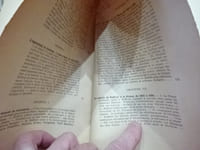 Le vrai visage de l'Alsace: la vie d'un grand journaliste: Auguste Nefftzer, fondateur de la Revue germanique et du Temps (Colmar 1820-Bale 1876), d'après sa correspondance et des documents inédits.-Tomes I et II.