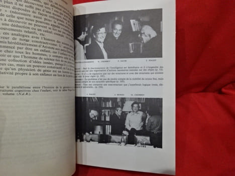 Théories du langage, théories de l'apprentissage. . [PHILOSOPHIE SCIENCES HUMAINES] - PIAGET (Jean), CHOMSKY (Noam)