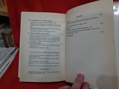 Théories du langage, théories de l'apprentissage. . [PHILOSOPHIE SCIENCES HUMAINES] - PIAGET (Jean), CHOMSKY (Noam)