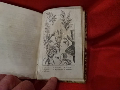 Nouvelle Botanique. . [SCIENCE NATURELLE] - L. R. U (E. de)