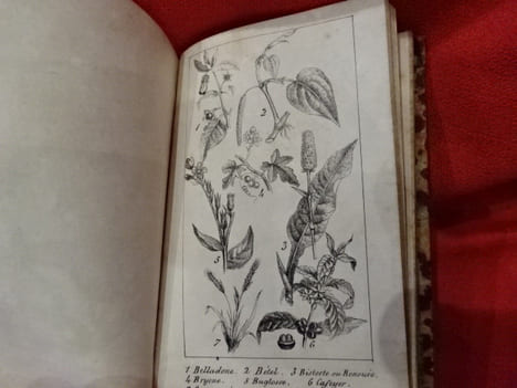 Nouvelle Botanique. . [SCIENCE NATURELLE] - L. R. U (E. de)