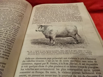 Journal de l'Agriculture, de la ferme et des maisons de campagne, de l'horticulture, de l'économie rurale et des intérêts de la propriété.-1876. Tome Ier.-1er janvier.-N° 351 au Tome IV.-30 décembre.-N° 403. 