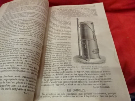 Journal de l'Agriculture, de la ferme et des maisons de campagne, de l'horticulture, de l'économie rurale et des intérêts de la propriété.-1876. Tome ...