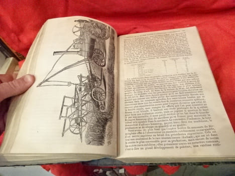 Journal de l'Agriculture, de la ferme et des maisons de campagne, de l'horticulture, de l'économie rurale et des intérêts de la propriété.-1876. Tome ...