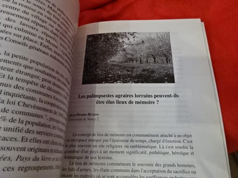 Mémoire & Lieux de mémoire en Lorraine. . [LORRAIN] - MARTIN (Philippe), ROTH (François)