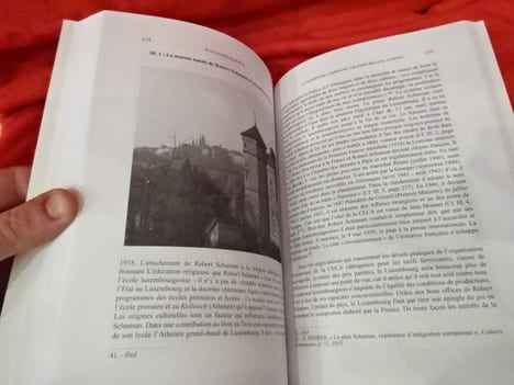 Annales de l'Est – 6e série — 58e année — N° spécial — 2008. Lorraine, Luxembourg et Pays wallons, mille ans d'histoire. . [LORRAIN] - COLLECTIF