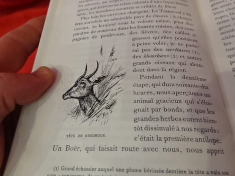 Les Grands Maîtres de la chasse et de la Vénerie. – XVI.: mes Grandes chasses dans l’Afrique centrale. . [VARIA] - FOA (Édouard)