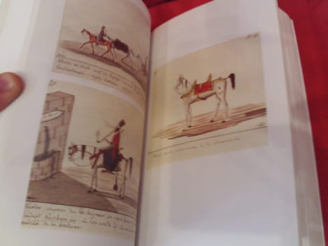 Impressions d’Orient et d’Arabie, un cavalier polonais chez les bédouins (1817-1819). . [LITTERATURE] - RZEWUSKI (Comte Waclav Seweryn)