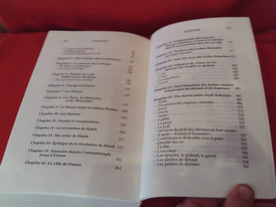 Impressions d’Orient et d’Arabie, un cavalier polonais chez les bédouins (1817-1819). 