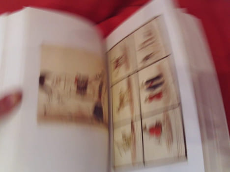 Impressions d’Orient et d’Arabie, un cavalier polonais chez les bédouins (1817-1819). . [LITTERATURE] - RZEWUSKI (Comte Waclav Seweryn)