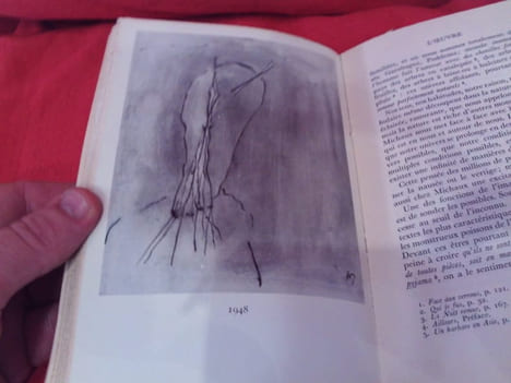 Michaux. . [LITTERATURE] - BRÉCHON (Robert)