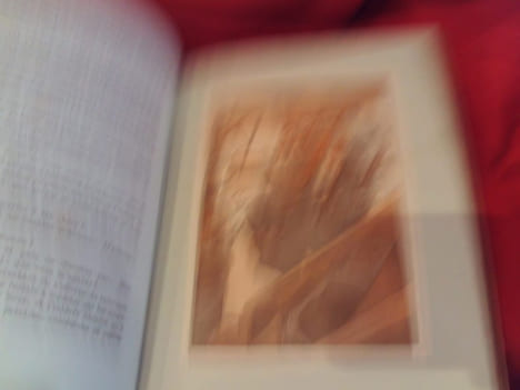 M. Dumollet sur le Mont-Blanc. . [LITTERATURE] - SAMIVEL