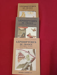 Nouvel atlas d'entomologie N° 6 :  Les lépidoptères de France, Belgique suisse