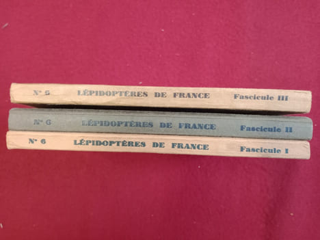 Nouvel atlas d'entomologie N° 6 :  Les lépidoptères de France, Belgique suisse. LE CERF (F.)