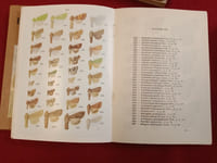 Nouvel atlas d'entomologie N° 6 :  Les lépidoptères de France, Belgique suisse