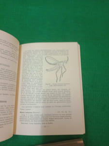 Nouvel atlas d'entomologie N° 8 :  Les diptères de France, Belgique suisse.