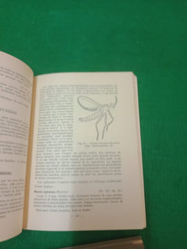 Nouvel atlas d'entomologie N° 8 : Les diptères de France, Belgique suisse.. SEGUY (E.)