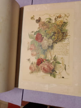 Liebesfrühling. Prachtausgabe. Bilder von Franziska Schulze. Initialien von Adolph Schröder.. Rückert, Friedrich