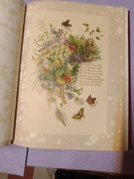 Liebesfrühling. Prachtausgabe. Bilder von Franziska Schulze. Initialien von Adolph Schröder.. Rückert, Friedrich