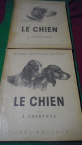 Le chien. Ses origines, son évolution.
