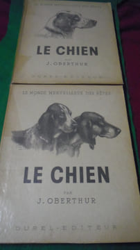 Le chien. Ses origines, son évolution.
. OBERTHUR ( J. )