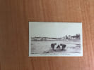 CPA : GRAYE-SUR-MER (Calvados) un coin de plage 2734. 