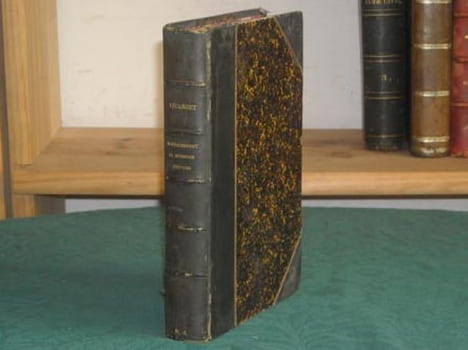 Montalembert, sa jeunesse 1810-1836.. LECANUET