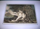 Gravure. Musée de la Haye - Nature morte, tableau de J. Weenix.. WEENIX Jan
