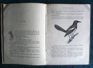 Lettres d'Oiseaux.. NAJAC Raoul de