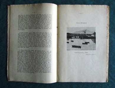 Panorama de la Peinture française au XXème siècle. Tome 1. Les Fauves, les Cubistes et leurs contemporains.