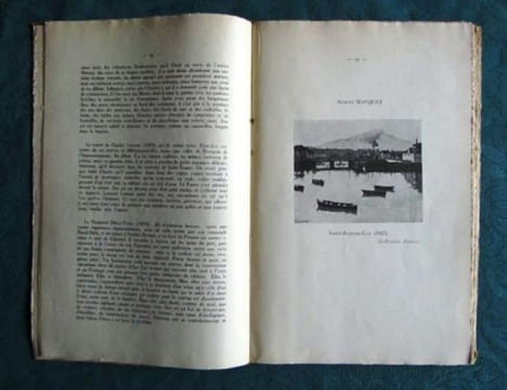 Panorama de la Peinture française au XXème siècle. Tome 1. Les Fauves, les Cubistes et leurs contemporains.. TURPIN Georges